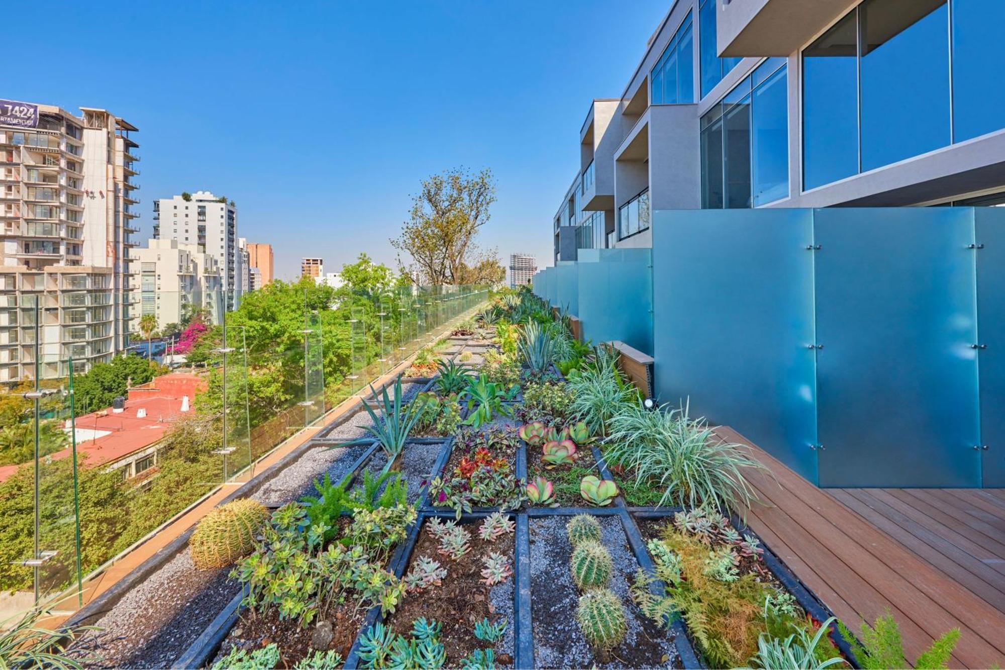 City Express Plus By Marriott Guadalajara Providencia Exterior photo